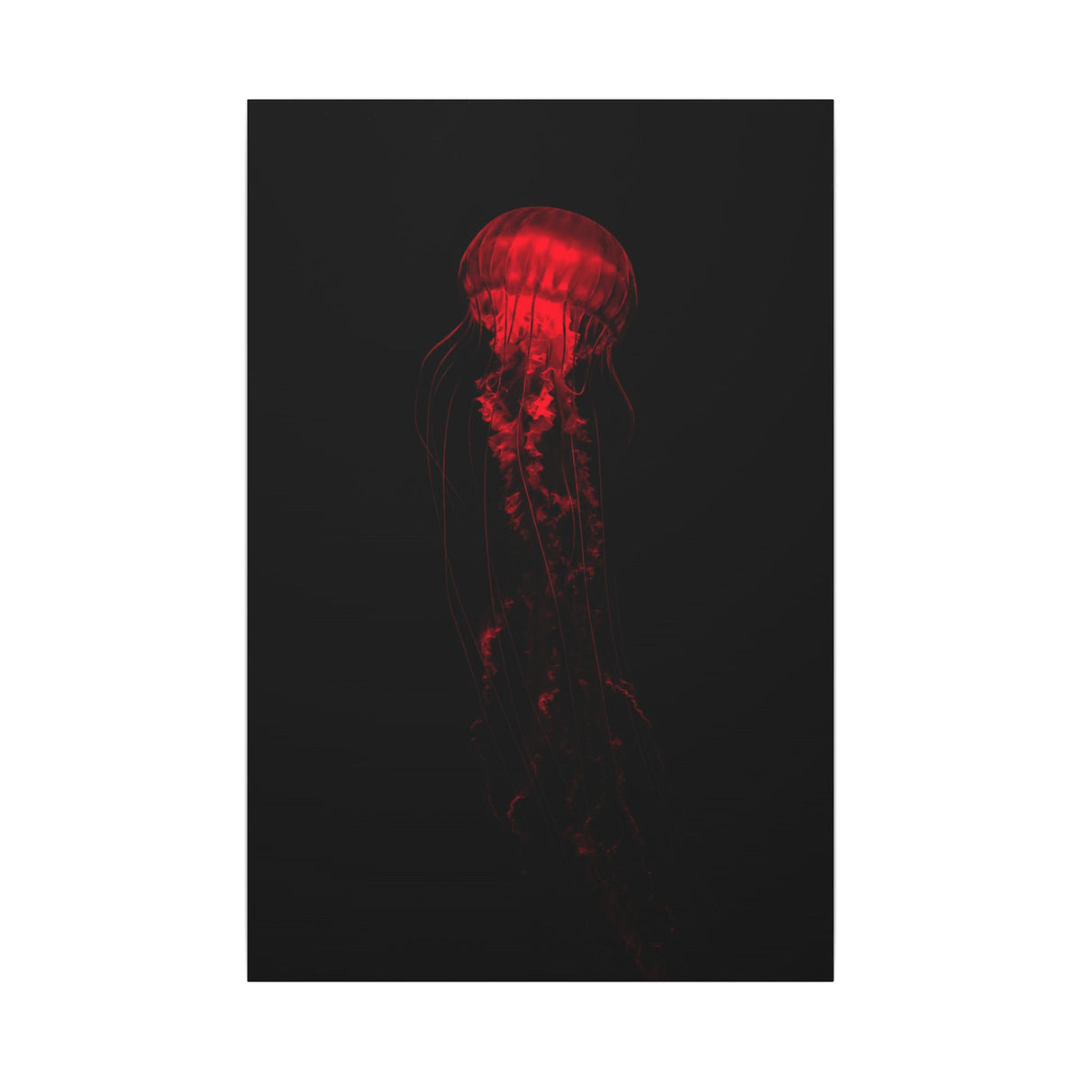 The Drifter - Red Wall Art Decor | Canvas