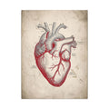 The Anatomical Heart - Wall Art For Doctor Office | Canvas