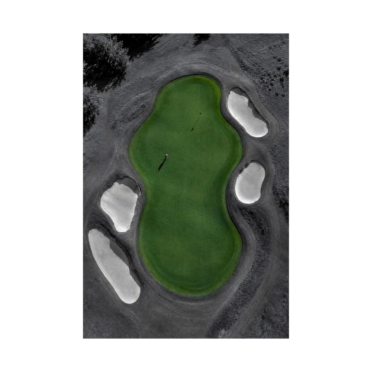 Aerial Solitude - Golf Course Wall Art | Matte Poster
