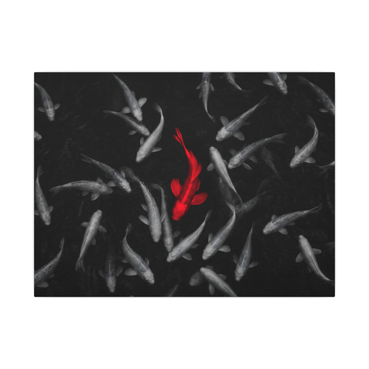 The Red Koi - Red And Black Wall Art | Canvas (Landscape)