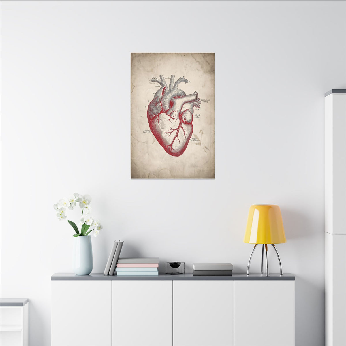 The Anatomical Heart - Wall Art For Doctor Office | Canvas