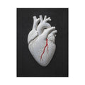 Coronary Path - Doctor's Office Wall Art | Canvas