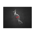 One Rung Different - Doctor's Office Wall Art | Canvas (Landscape)