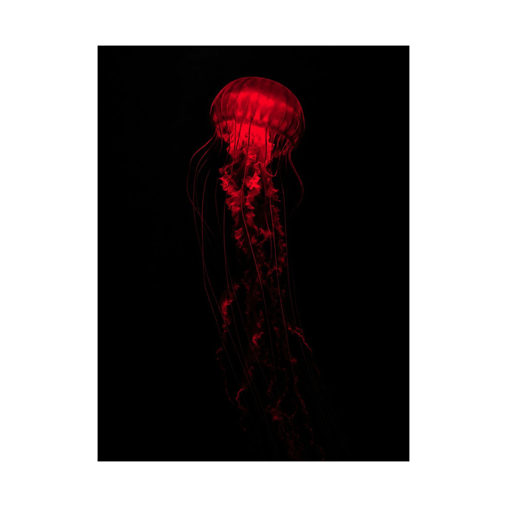 The Drifter - Red Wall Art Decor | Matte Poster