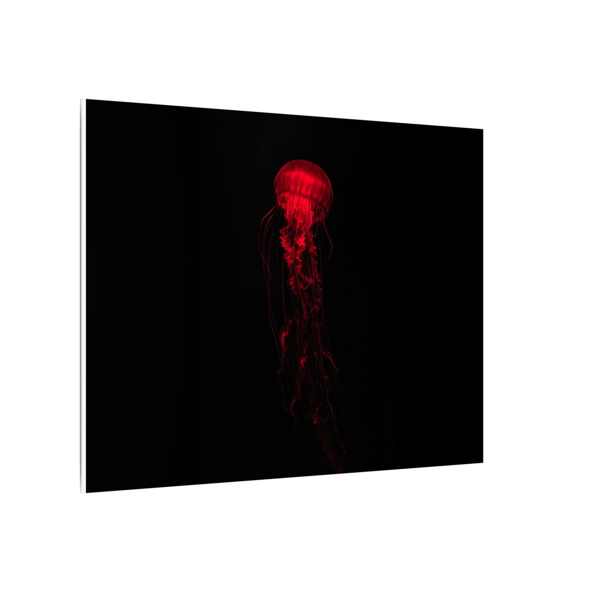 The Drifter - Red Wall Art Decor | Canvas (Landscape)