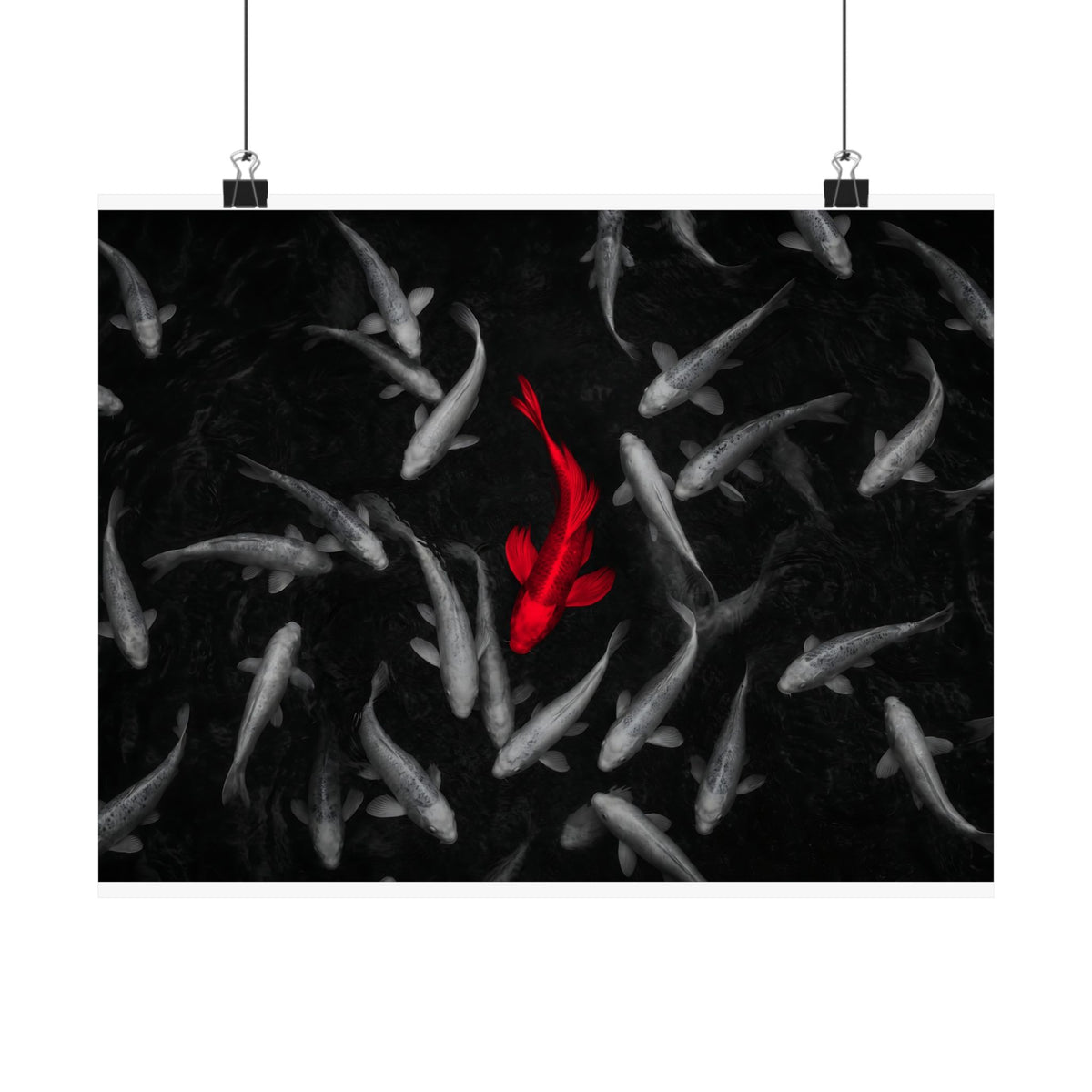 The Red Koi - Red And Black Wall Art | Matte Poster (Landscape)