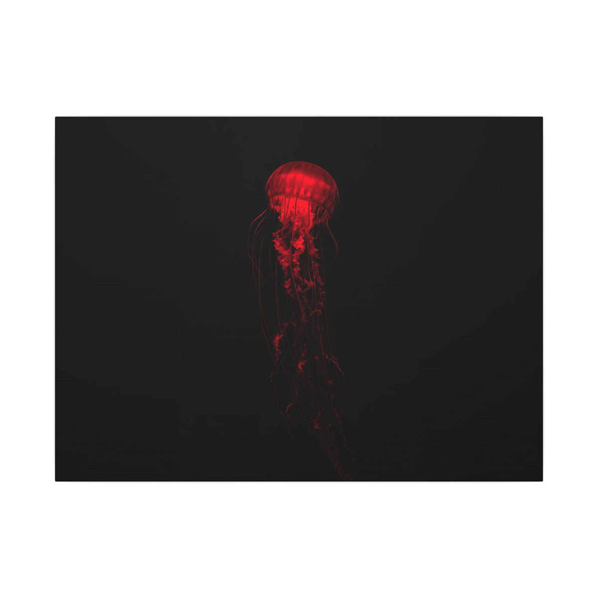 The Drifter - Red Wall Art Decor | Canvas (Landscape)