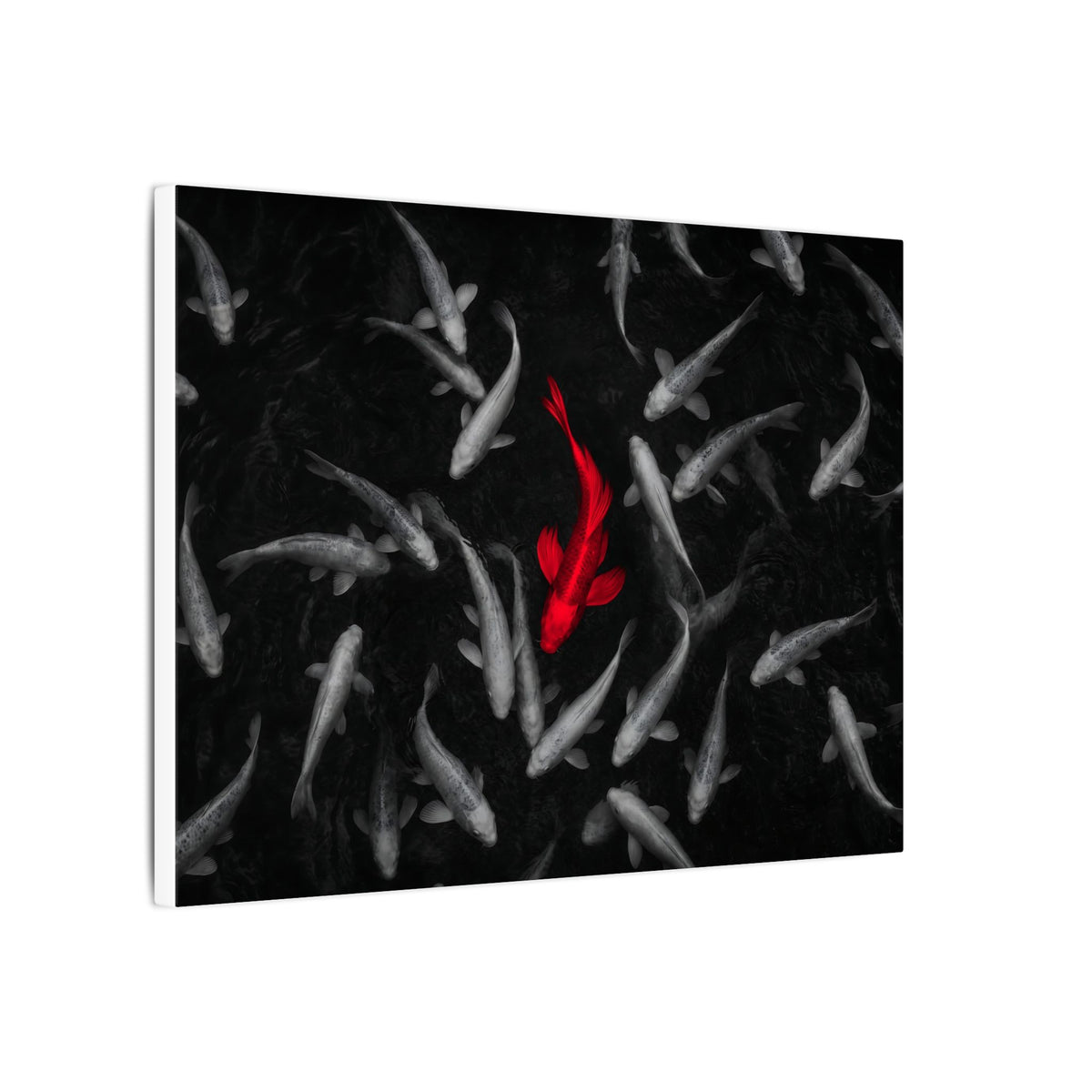 The Red Koi - Red And Black Wall Art | Canvas (Landscape)