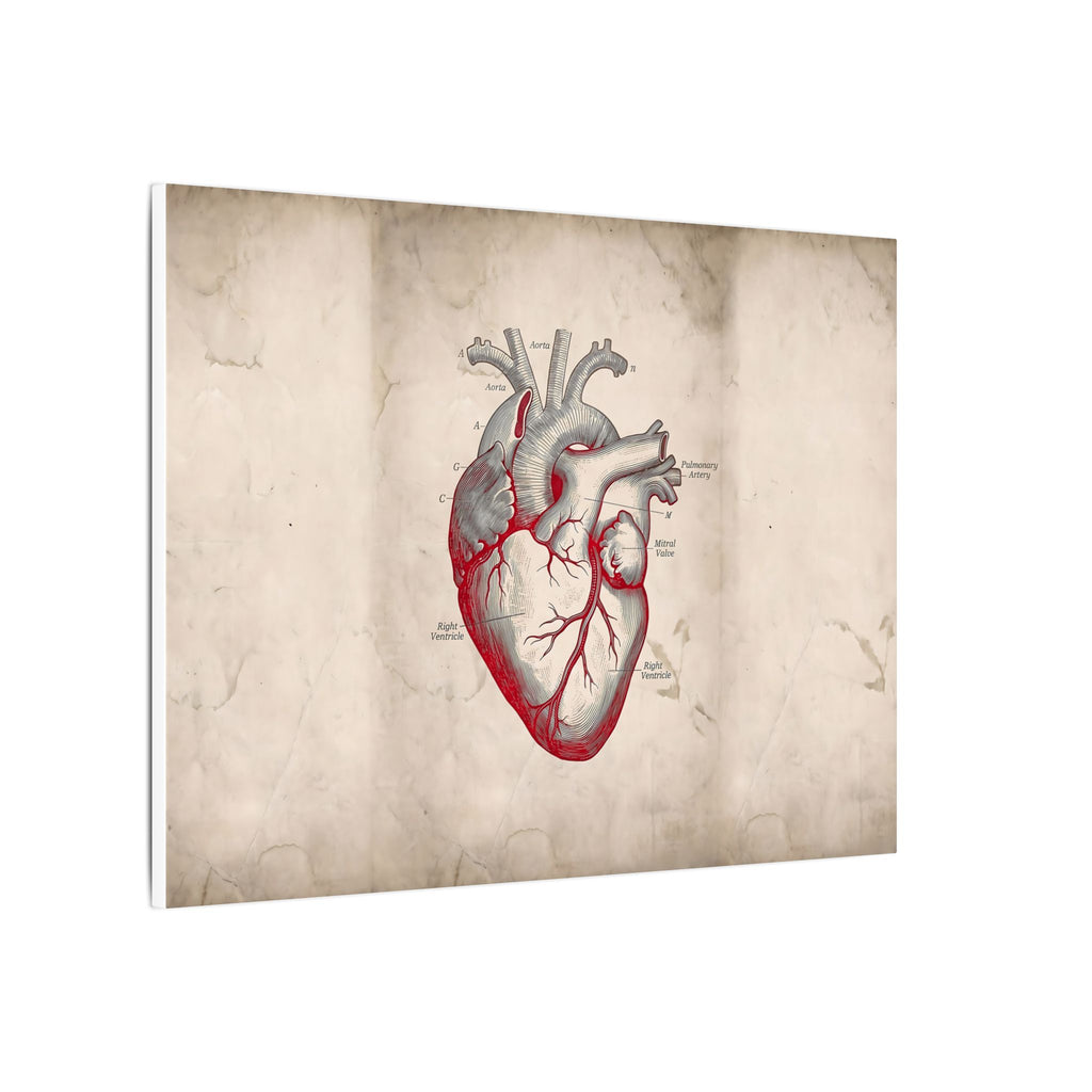 The Anatomical Heart - Wall Art For Doctor Office | Canvas (Landscape)