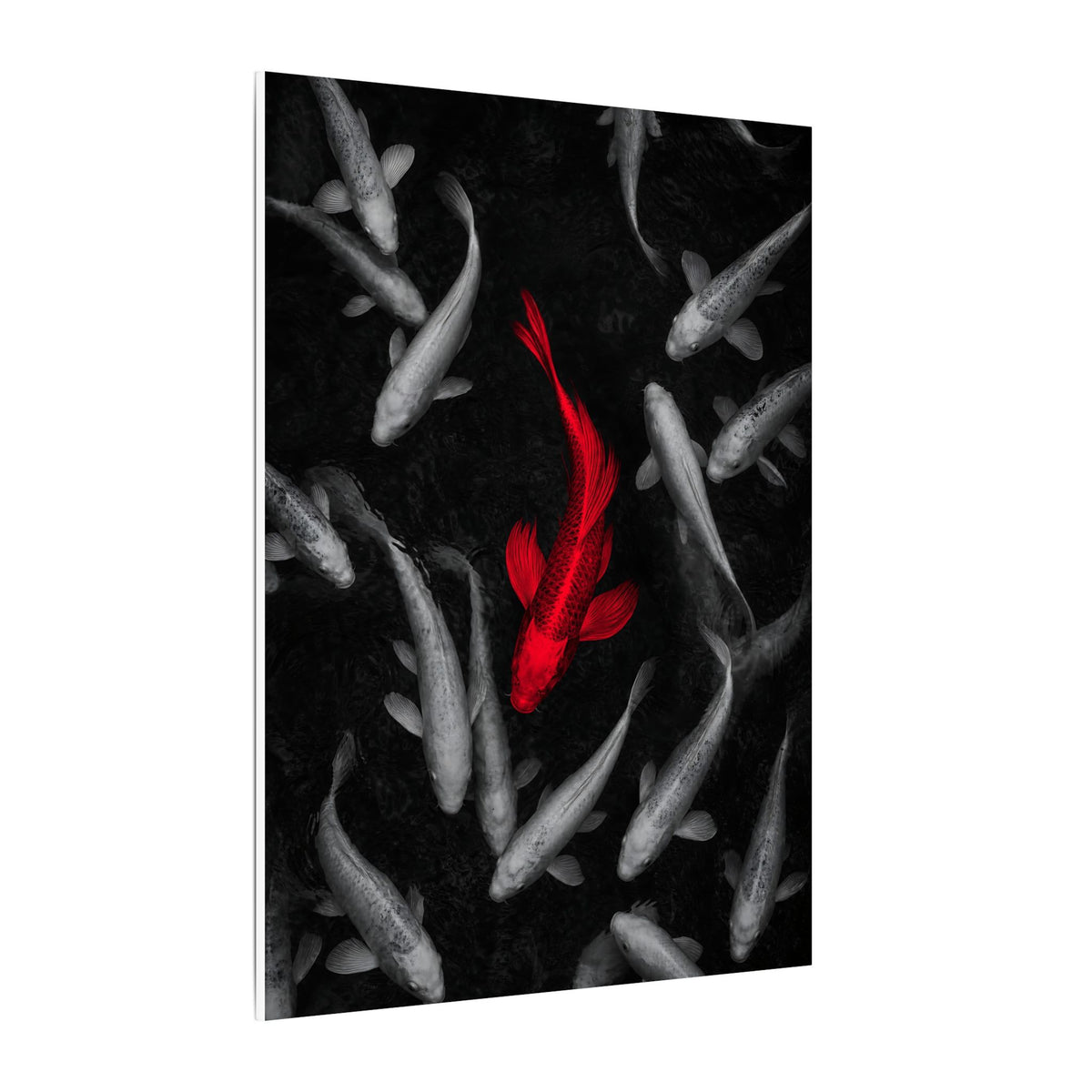 The Red Koi - Red And Black Wall Art | Canvas