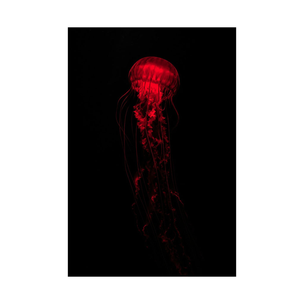 The Drifter - Red Wall Art Decor | Matte Poster