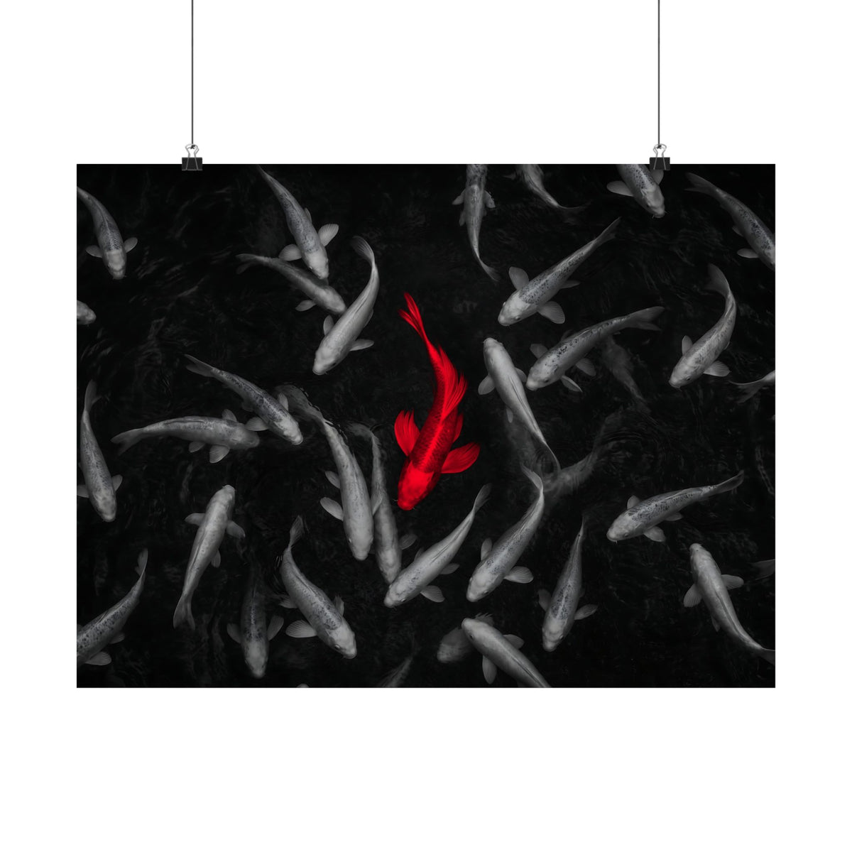 The Red Koi - Red And Black Wall Art | Matte Poster (Landscape)