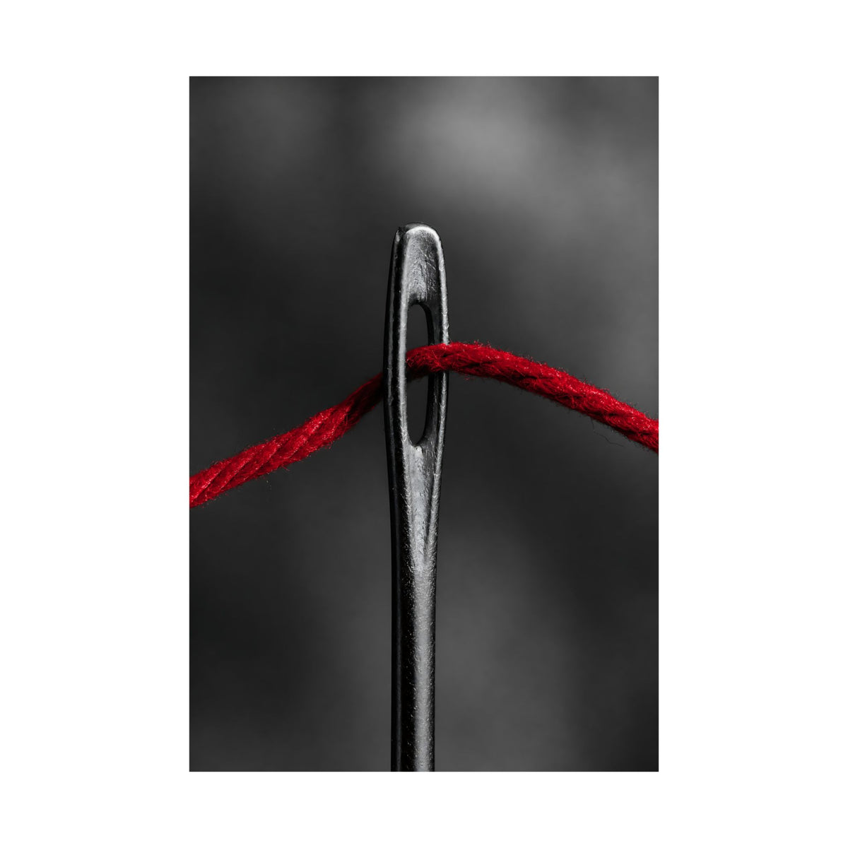 Through the Eye - Professional Office Wall Art | Matte Poster