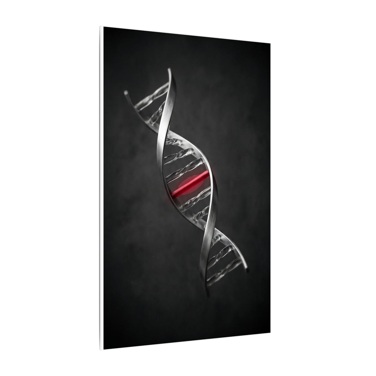 One Rung Different - Doctor's Office Wall Art | Canvas