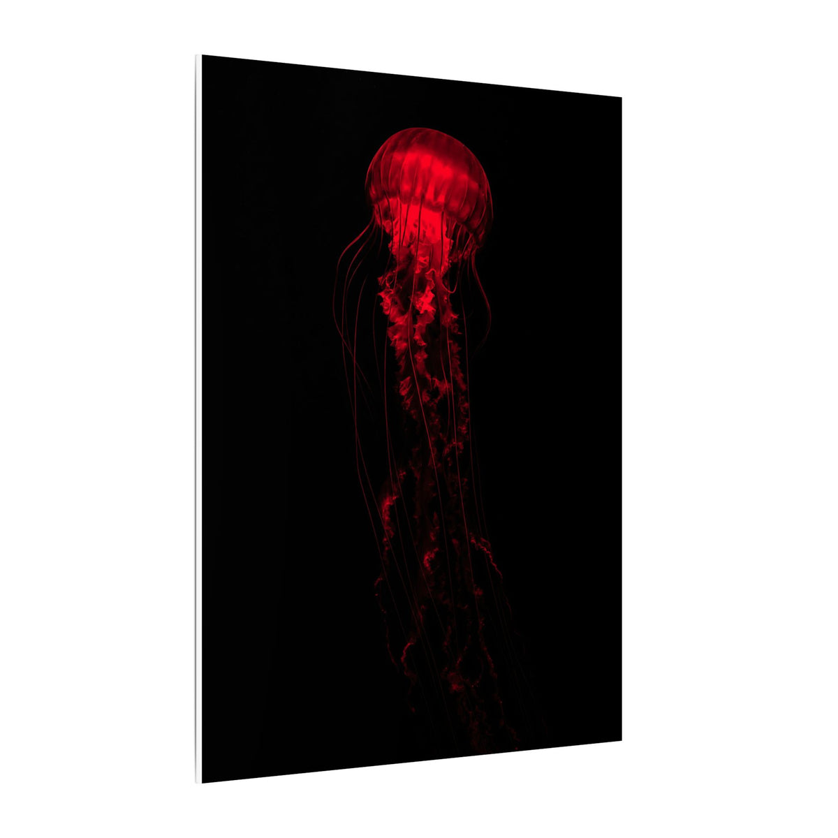 The Drifter - Red Wall Art Decor | Canvas