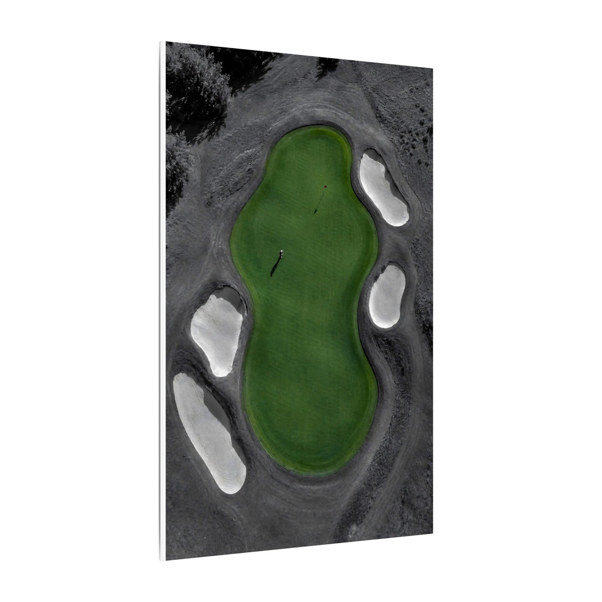 Aerial Solitude - Golf Course Wall Art | Canvas