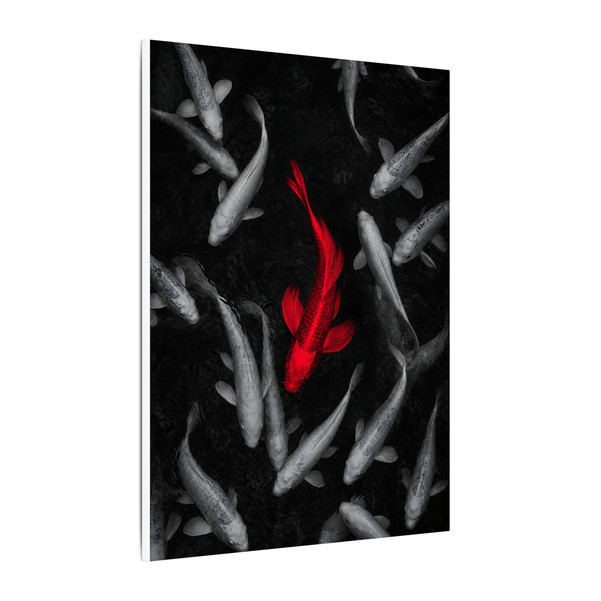 The Red Koi - Red And Black Wall Art | Canvas