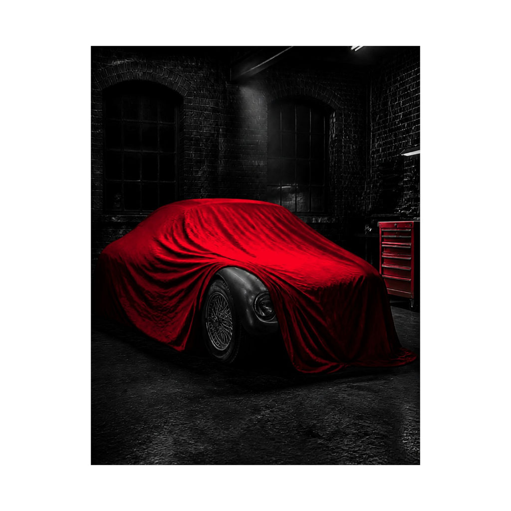 The Project - Car Cover Wall Art | Matte Poster