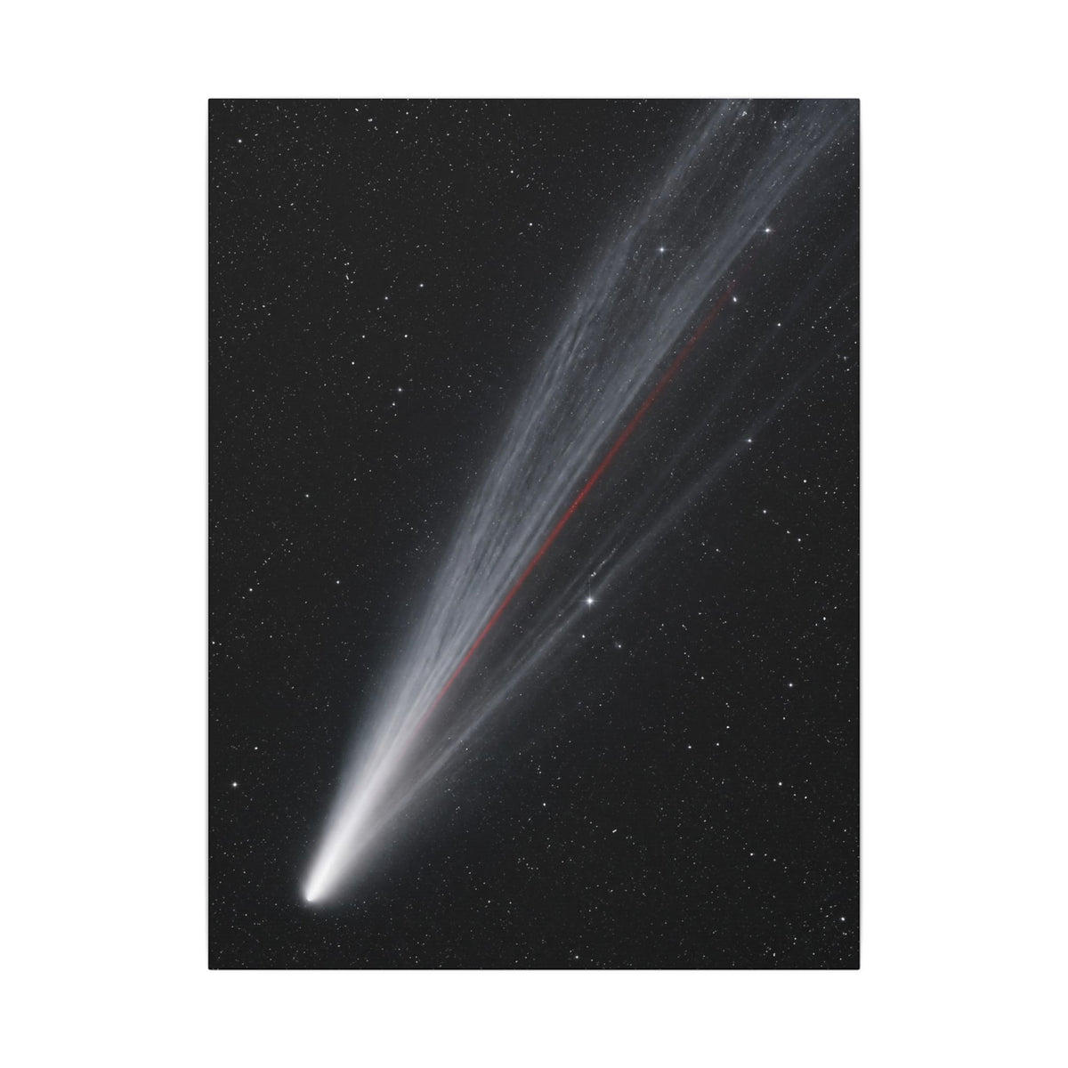 Supernova Remnant - Space Wall Art | Canvas