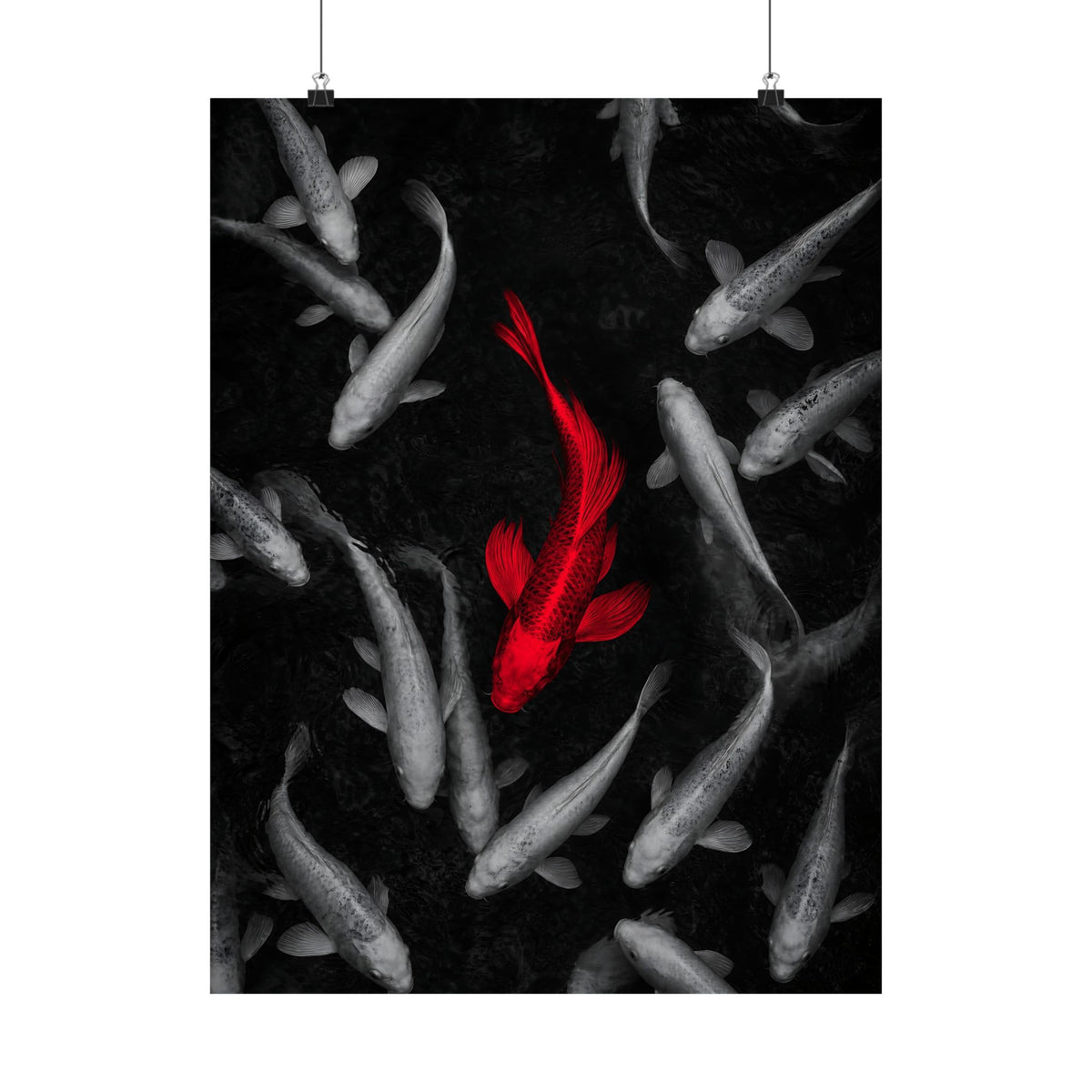 The Red Koi - Red And Black Wall Art | Matte Poster