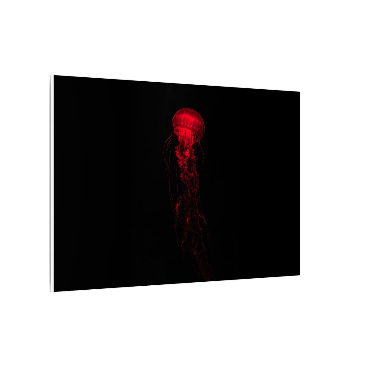 The Drifter - Red Wall Art Decor | Canvas (Landscape)