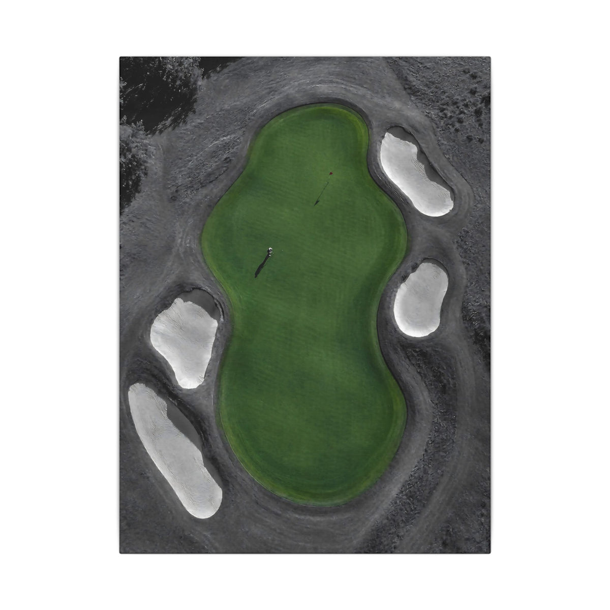 Aerial Solitude - Golf Course Wall Art | Canvas