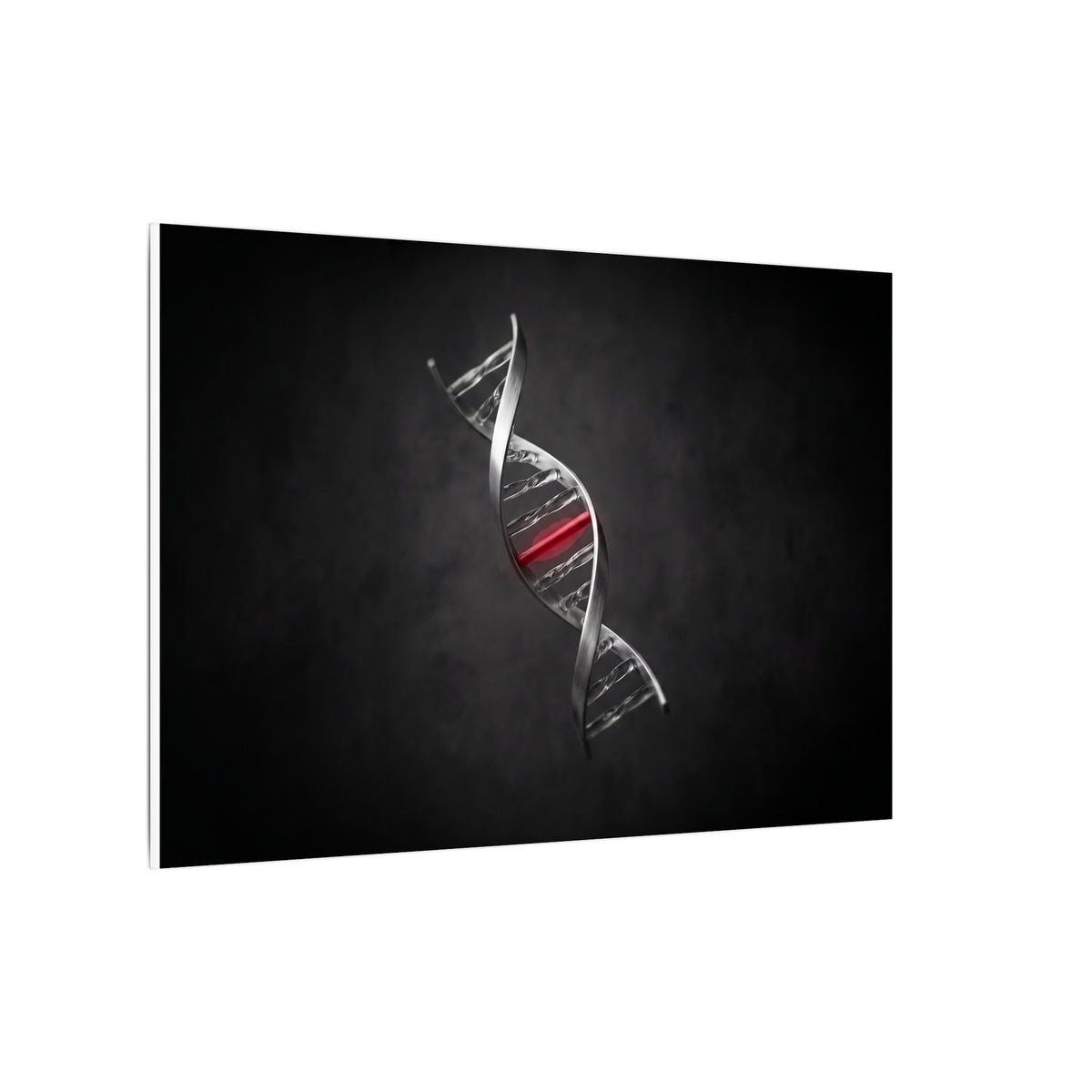 One Rung Different - Doctor's Office Wall Art | Canvas (Landscape)
