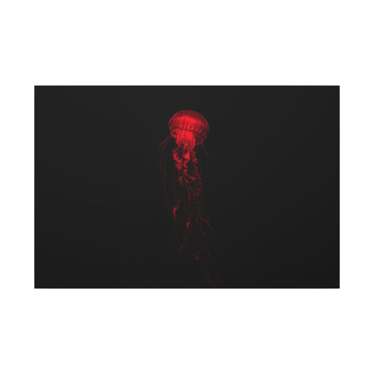 The Drifter - Red Wall Art Decor | Canvas (Landscape)
