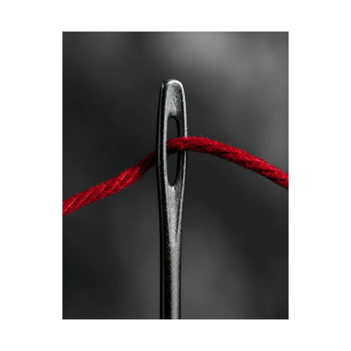 Through the Eye - Professional Office Wall Art | Matte Poster