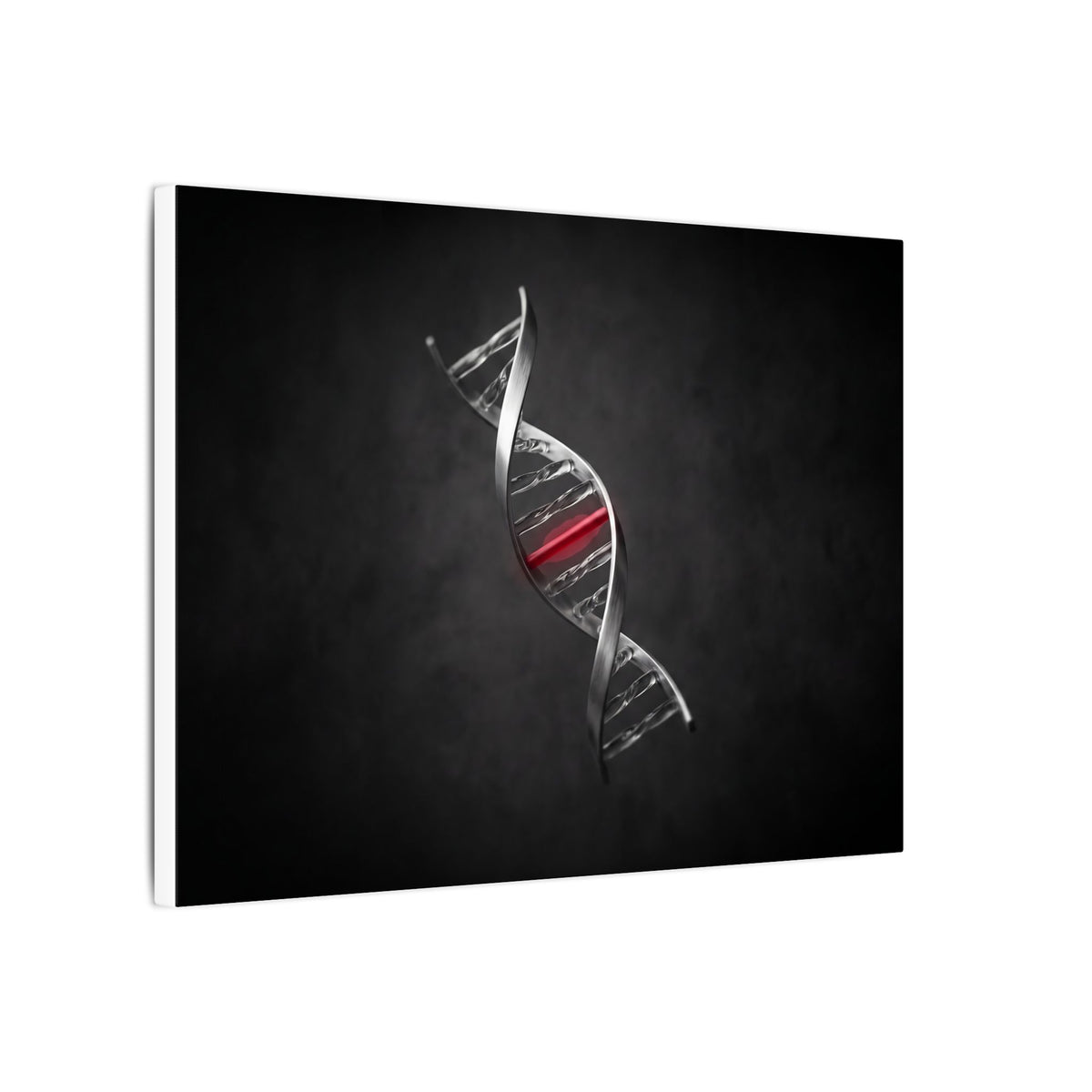 One Rung Different - Doctor's Office Wall Art | Canvas (Landscape)