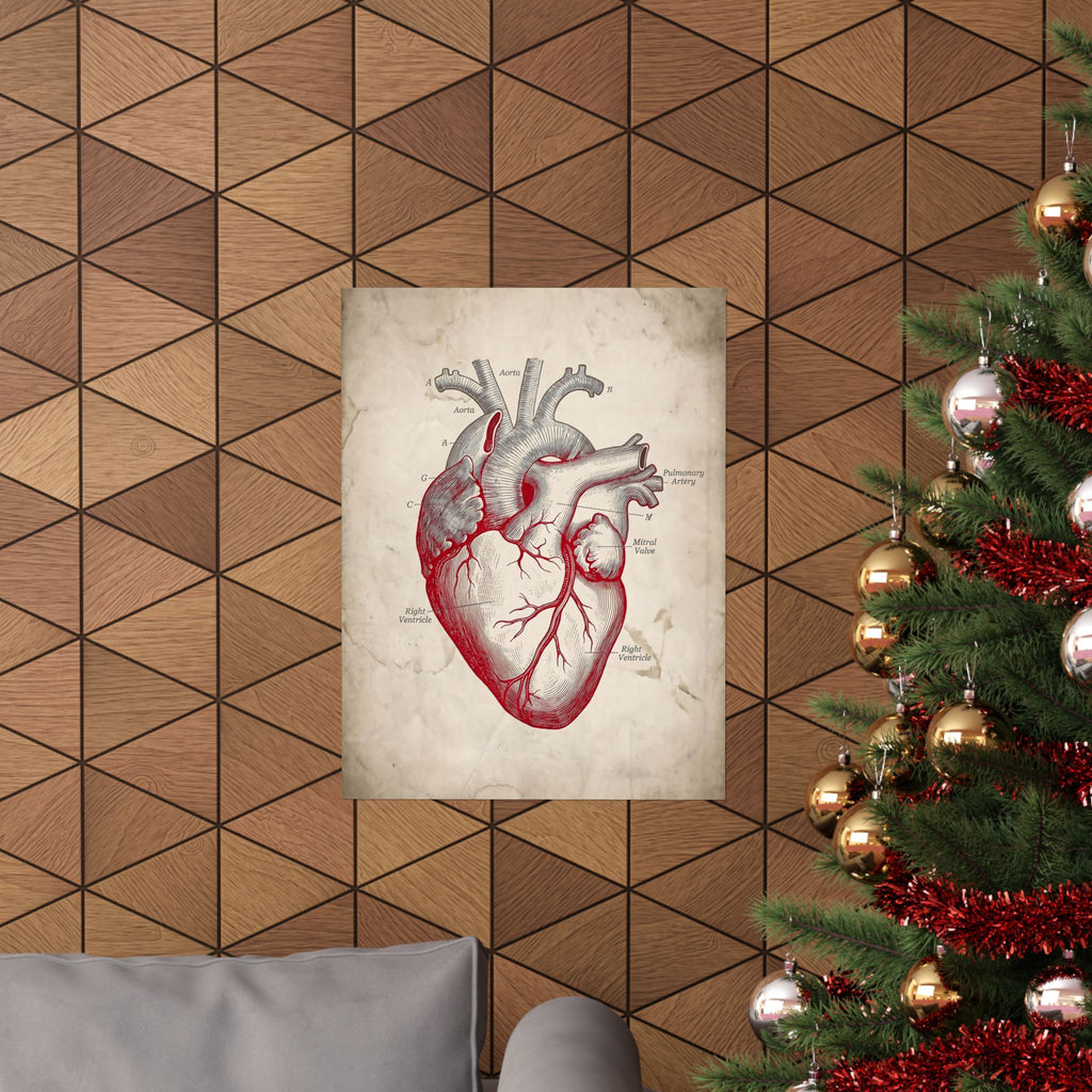 The Anatomical Heart - Wall Art For Doctor Office | Matte Poster