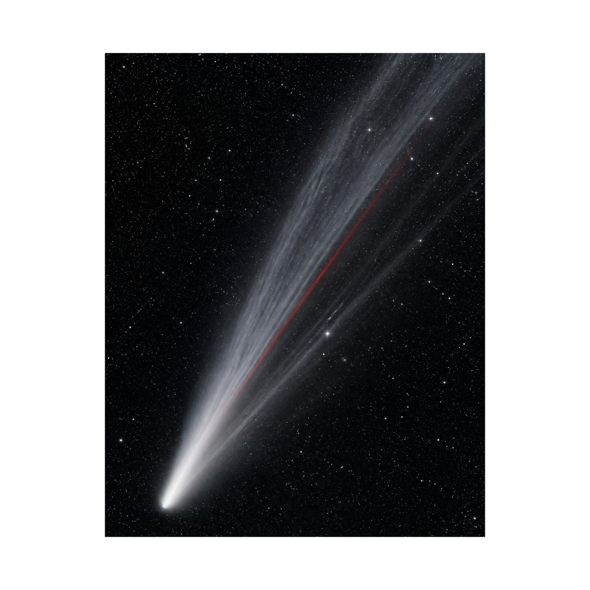Supernova Remnant - Space Wall Art | Matte Poster