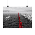 Lone Lamb - Black and White Wall Art | Matte Poster (Landscape)