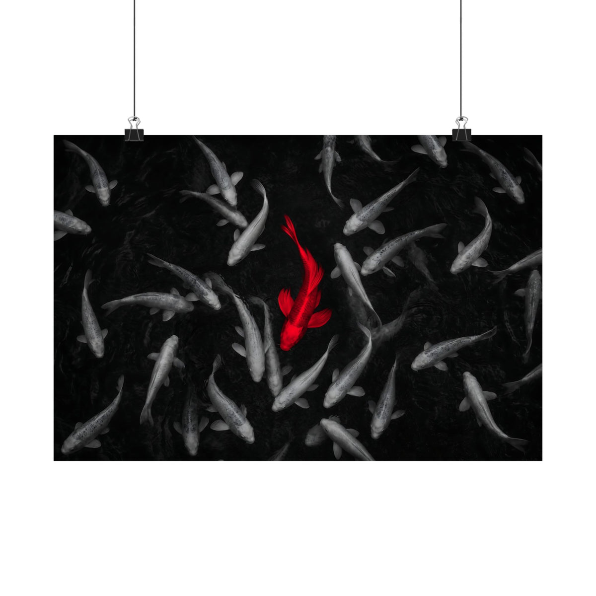 The Red Koi - Red And Black Wall Art | Matte Poster (Landscape)
