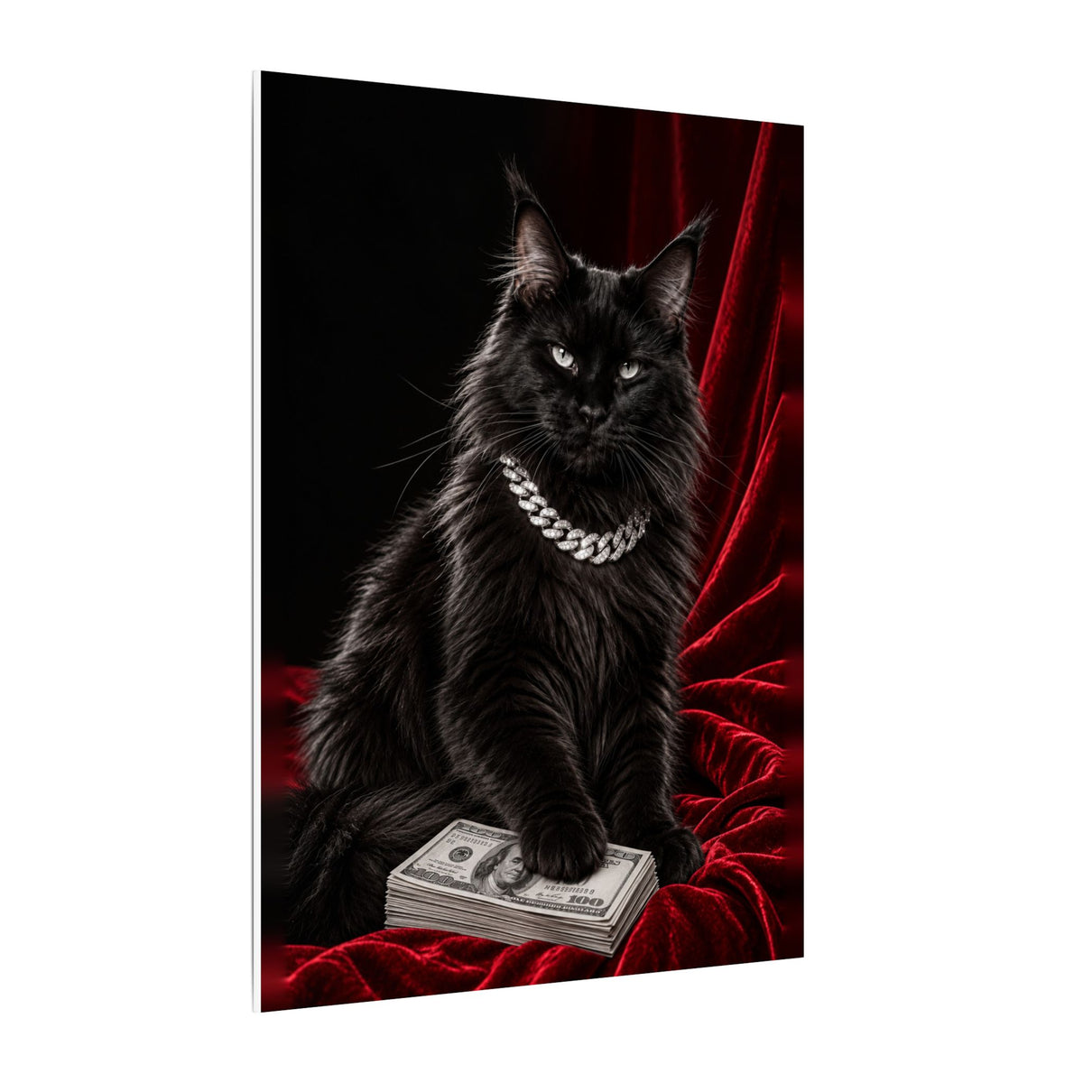 Cat Cash - Meme Wall Art | Canvas