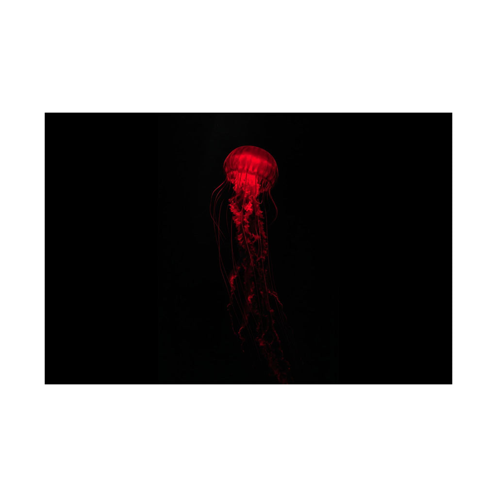 The Drifter - Red Wall Art Decor | Matte Poster (Landscape)