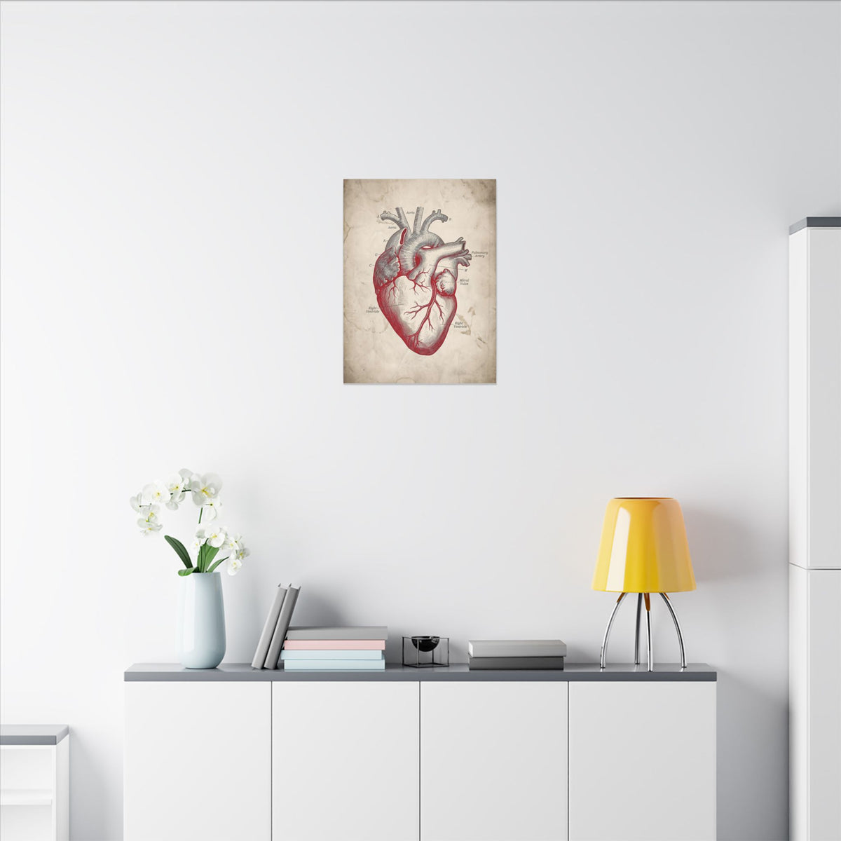 The Anatomical Heart - Wall Art For Doctor Office | Canvas