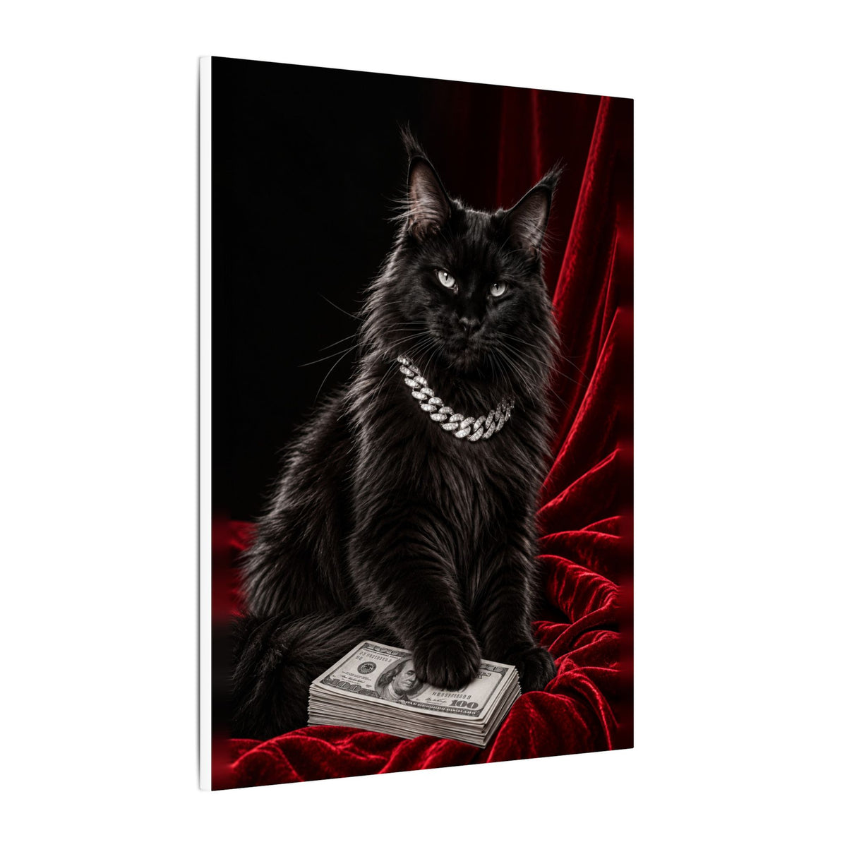 Cat Cash - Meme Wall Art | Canvas
