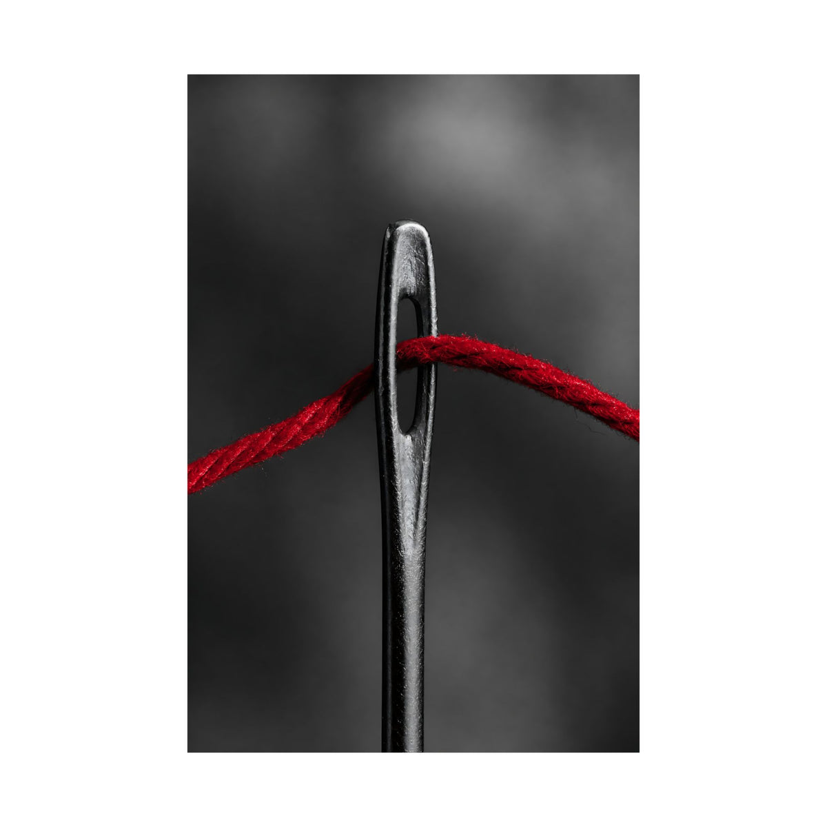 Through the Eye - Professional Office Wall Art | Matte Poster