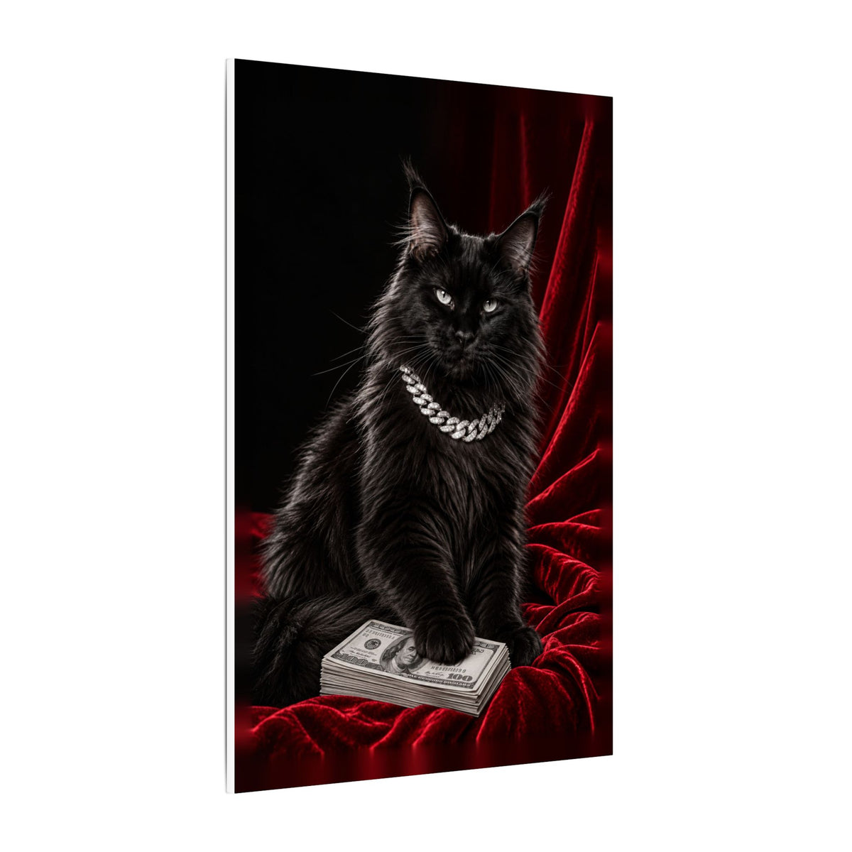 Cat Cash - Meme Wall Art | Canvas