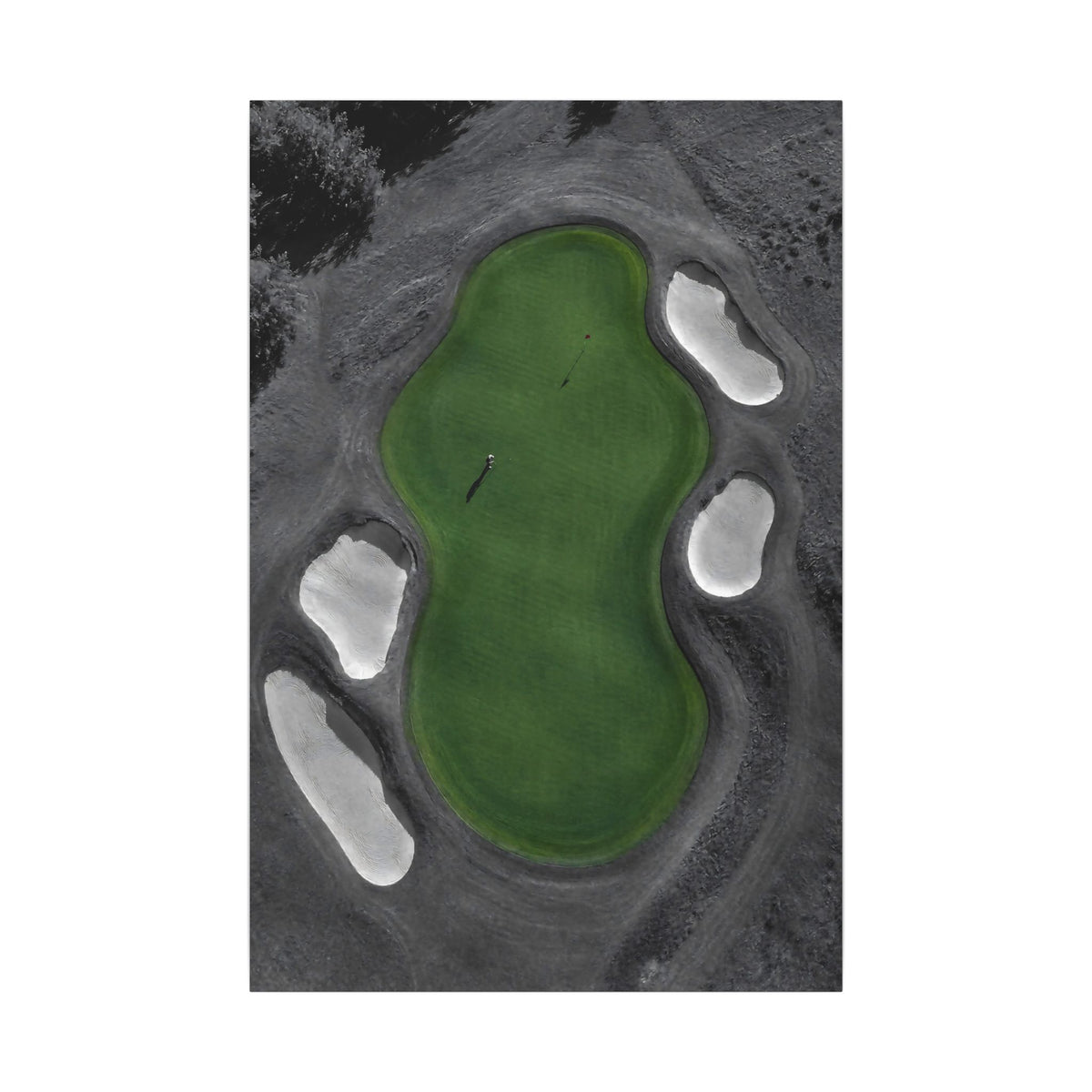 Aerial Solitude - Golf Course Wall Art | Canvas