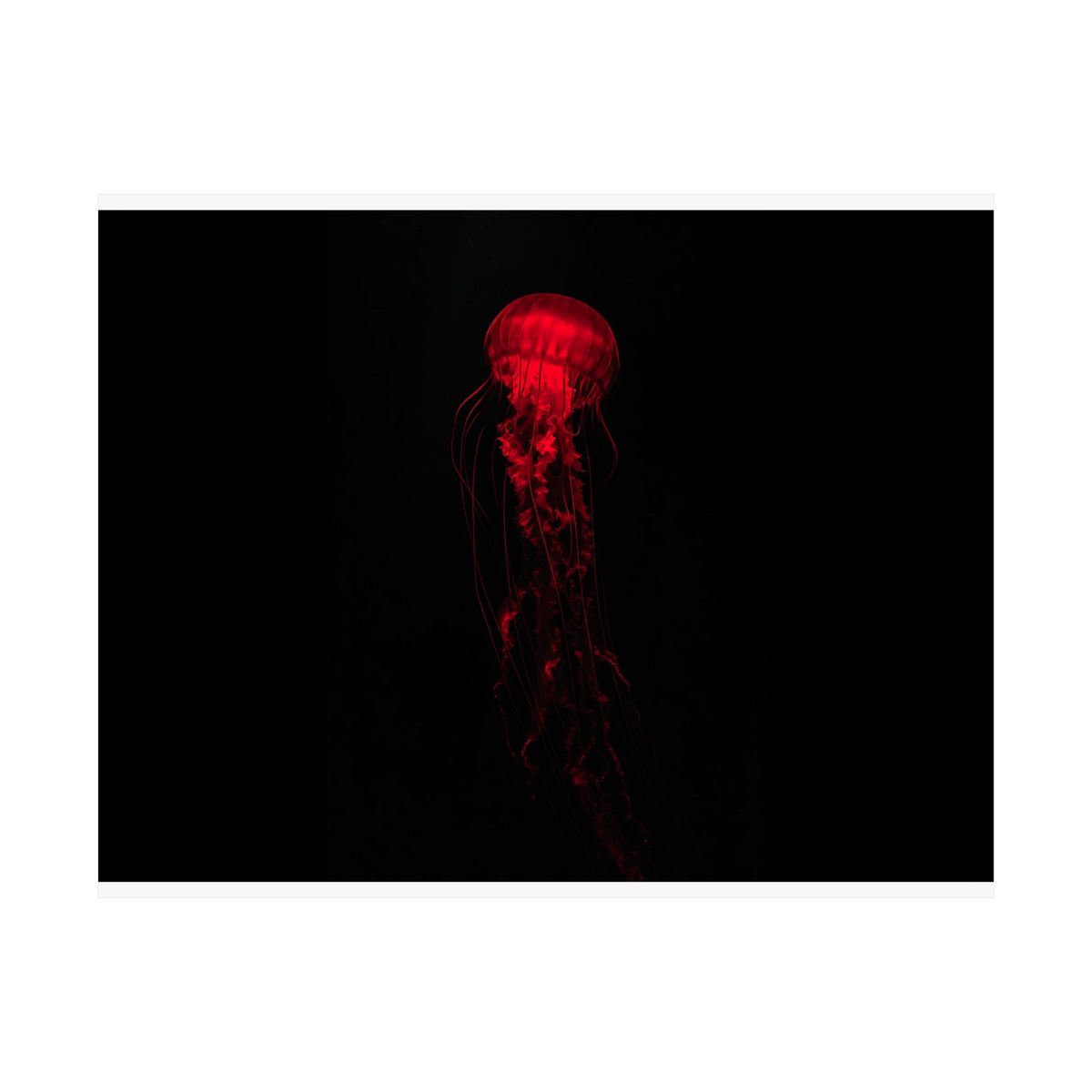 The Drifter - Red Wall Art Decor | Matte Poster (Landscape)