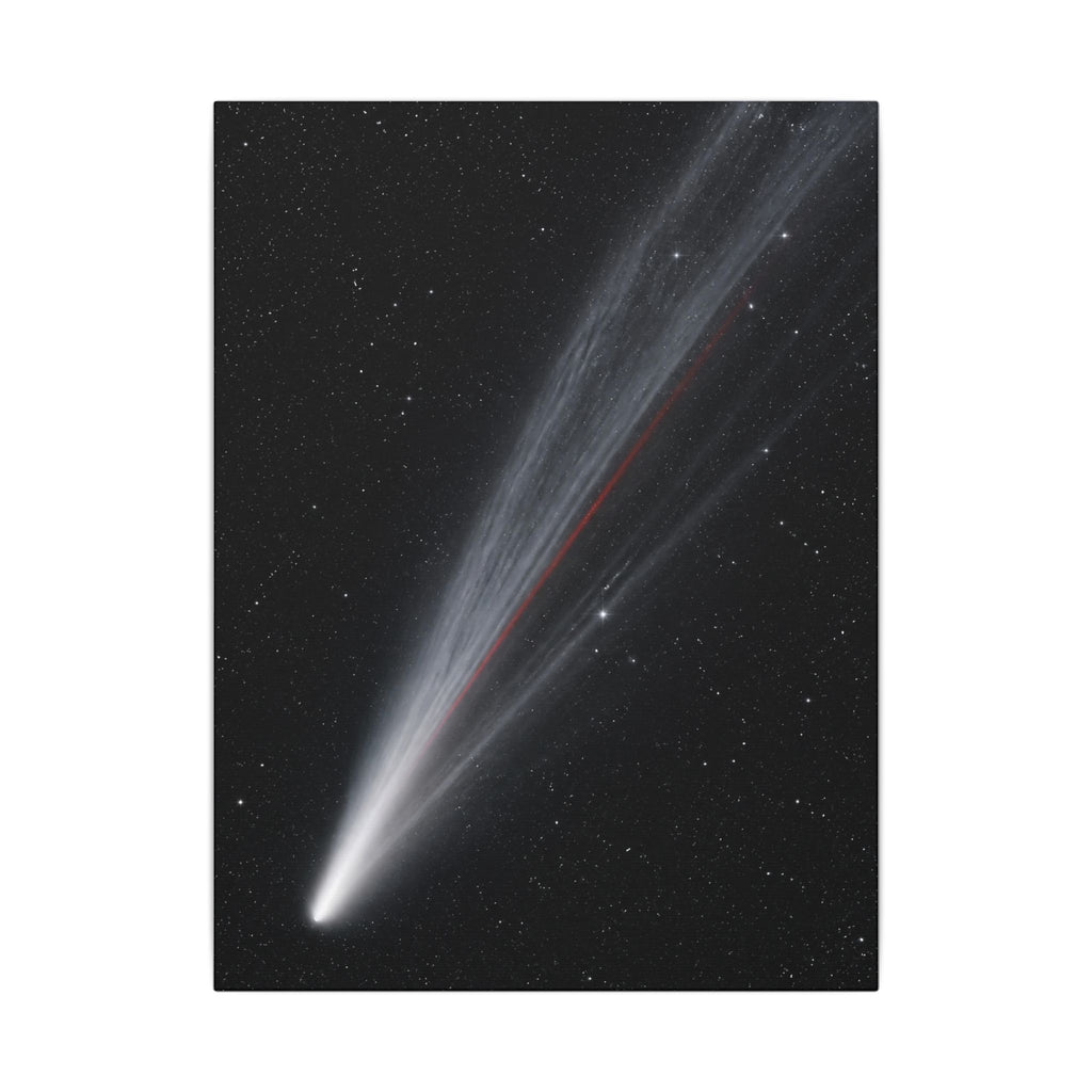 Supernova Remnant - Space Wall Art | Canvas