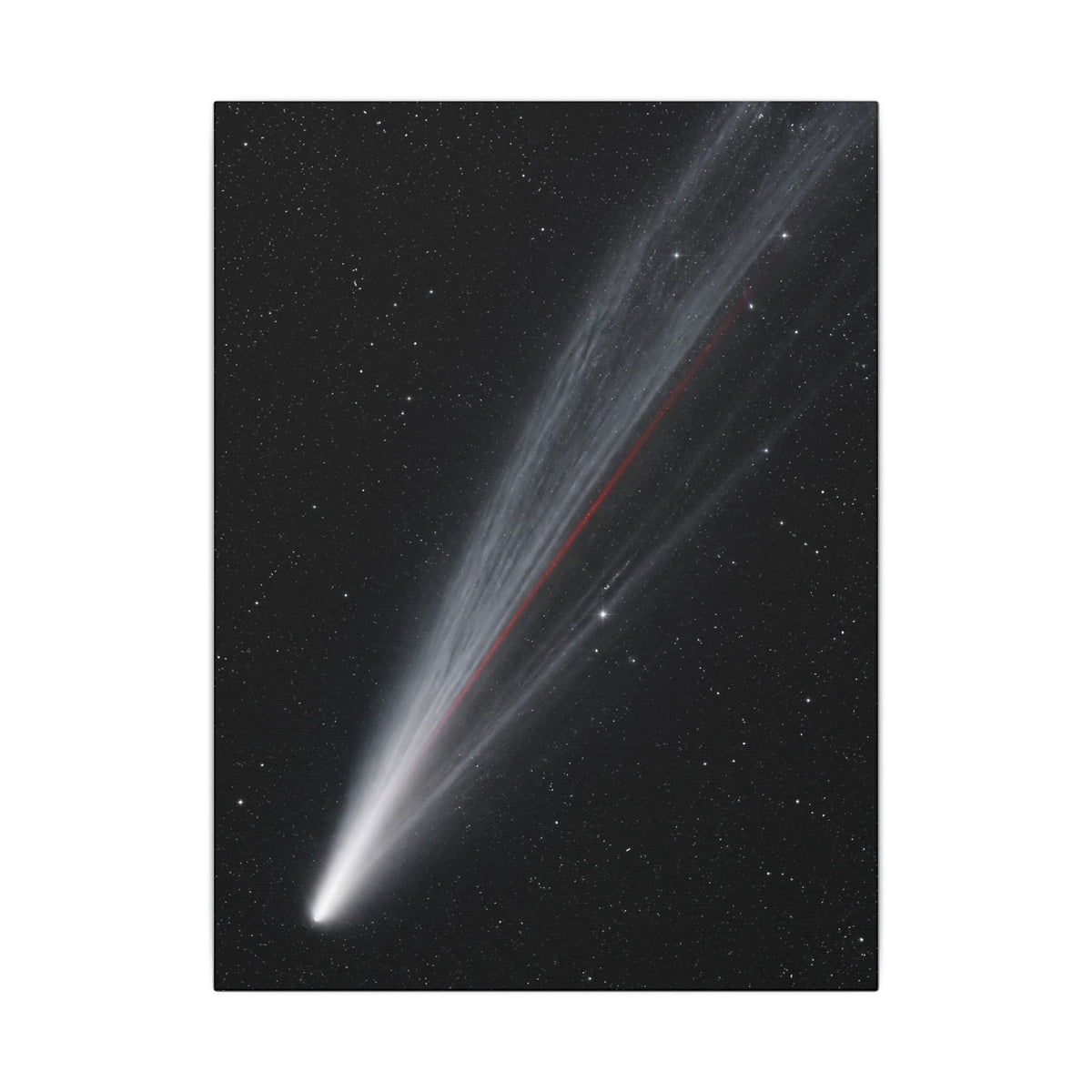 Supernova Remnant - Space Wall Art | Canvas