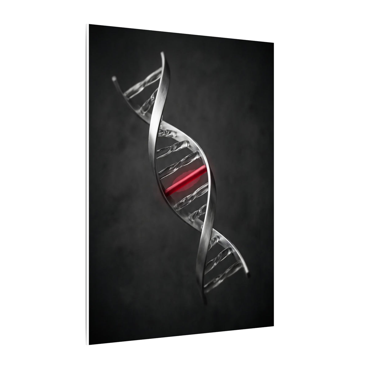 One Rung Different - Doctor's Office Wall Art | Canvas