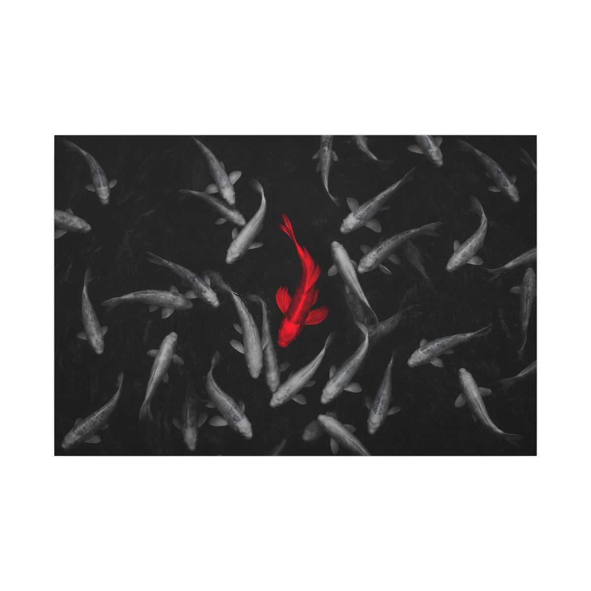 The Red Koi - Red And Black Wall Art | Canvas (Landscape)