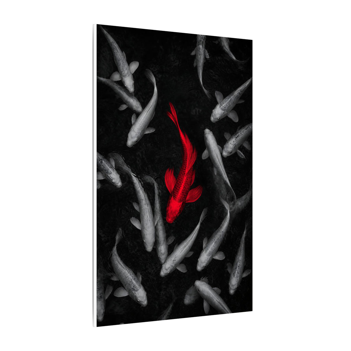 The Red Koi - Red And Black Wall Art | Canvas