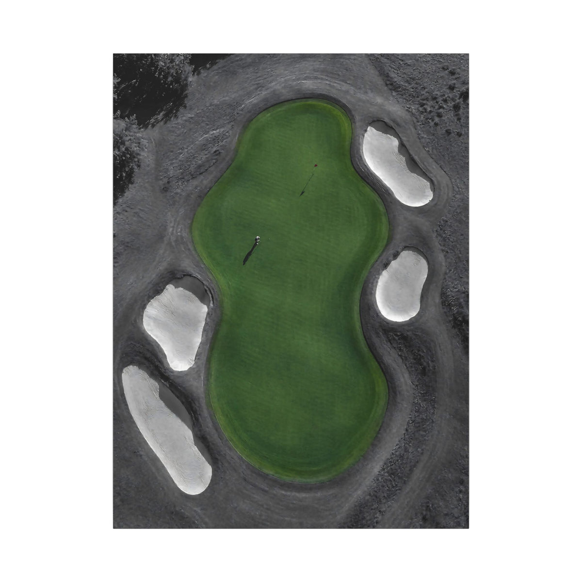Aerial Solitude - Golf Course Wall Art | Canvas
