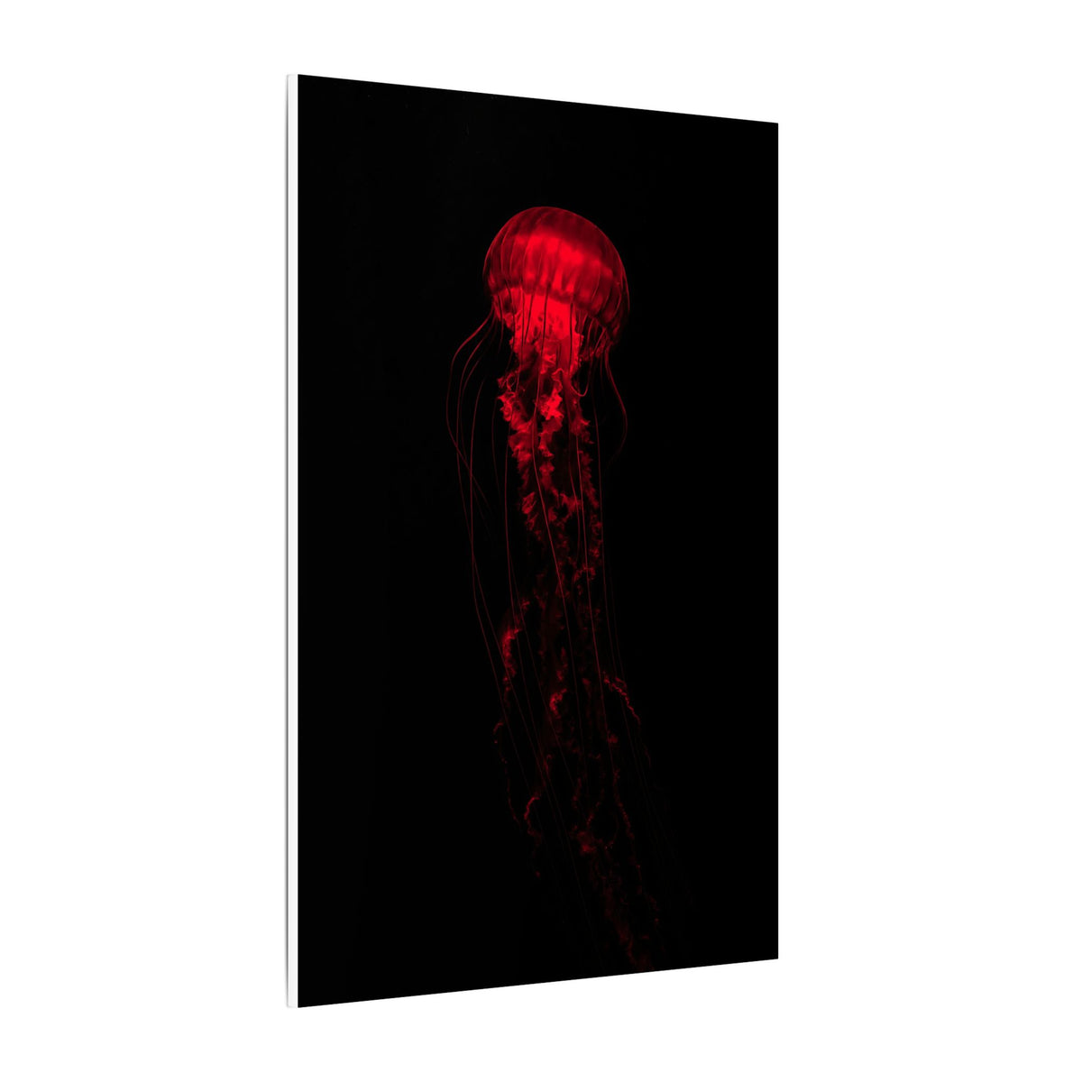 The Drifter - Red Wall Art Decor | Canvas