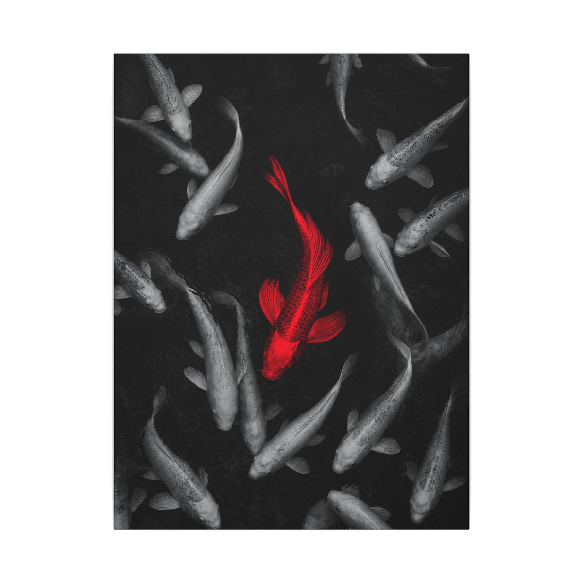 The Red Koi - Red And Black Wall Art | Canvas